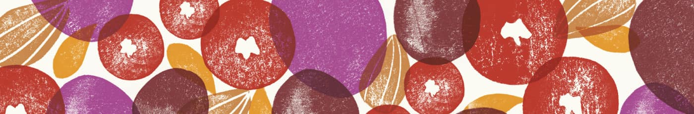 Purple, red, and brown stamped Cascadian Farm Fruit and Nut pattern