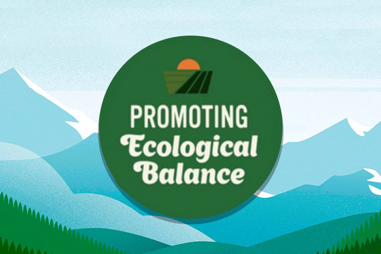 Promoting Ecological Balance on a graphic background