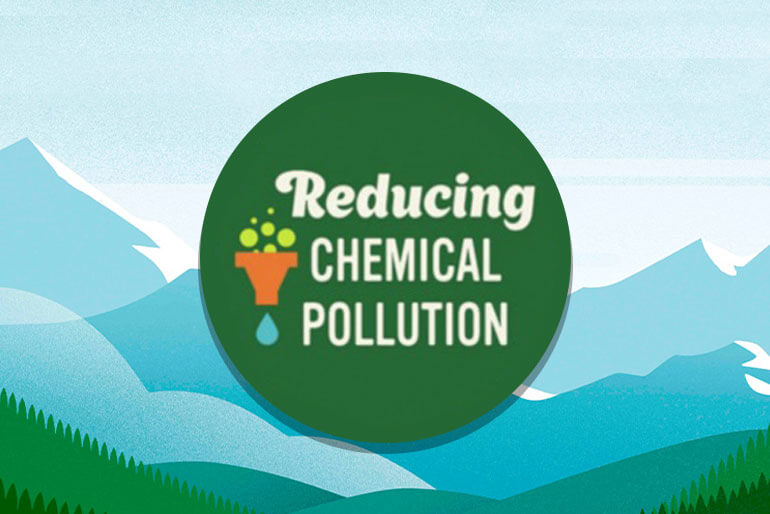 Reducing Chemical Pollution on a graphic background